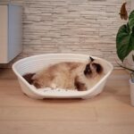 Cama Siesta Deluxe - Image 7