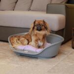 Cama Siesta Deluxe