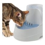 Fonte Vega - Image 2