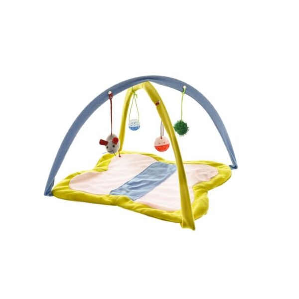 ginásio gato ferribiella