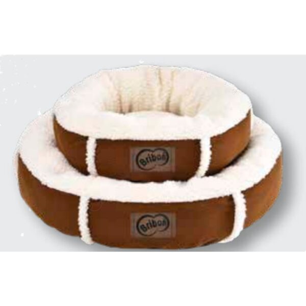 CAMA ZEUS BRIBON