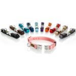 Coleira Hunter Alu-Forte