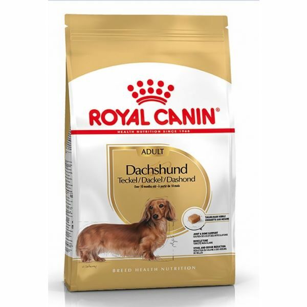 royal canin dachshund adult wepet cão
