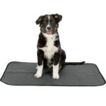 Resguardo Absorvente Lavável à Máquina Cinza - Image 3