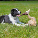 Abutre em Pelúcia/Tecido com Som - Image 3