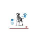 Royal Canin Medium Light Weight Care 12Kg - Image 3