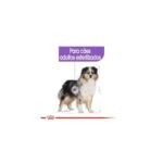 Royal Canin Medium Adult Sterilised 12Kg - Image 5