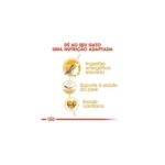 Royal Canin SPHYNX Adult - Image 6