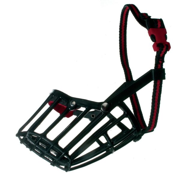 açaime de plastico camon cão focinheira
