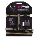 set conjunto trela + arnes martin sellier