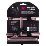 set conuunto trela + arnes cinza e vermelha