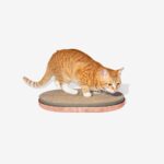 Zee.Cat Scratcher - Image 9