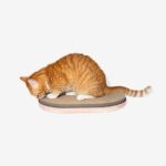 Zee.Cat Scratcher - Image 4