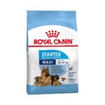 royal canin maxi starter mother & babydog