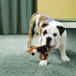 Kong Tennisshoes Giraffe - Image 3