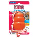 KONG AQUA CÃO WEPET