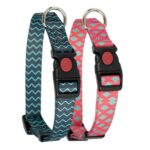 COLEIRA FANTASIA CÃO WEPET