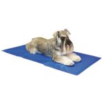 Tapete Refrescante - Image 4