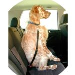 Cinto de Segurança Dogway 2x45-70cm - Image 3