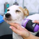 Escova de Massagem para o Banho - Image 4