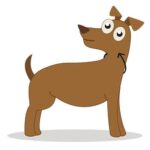 Coleira Fantasia Menta-Preta - Image 2