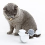 Brinquedo Ovo de Movimento Eletrónico - Image 4