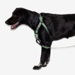 ZEE.DOG PEITORAL SOFT-WALK ARMY GREEN WEPET CÃO