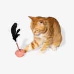 Zee.Cat Teaser Toy - Image 10