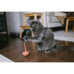 Zee.Cat Teaser Toy - Image 7