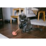 Zee.Cat Teaser Toy - Image 6