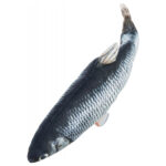 peixe em tecido com movimento usb e catnip wepet