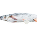 peixe em tecido com movimento usb e catnip wepet