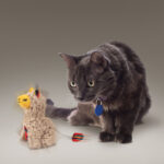 wepet KONG CAT SOFTIES BUZZY LLAMA