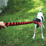 wepet kong signsture rope dual knot brinquedo cão