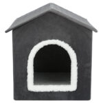 gruta livia wepet cão gato