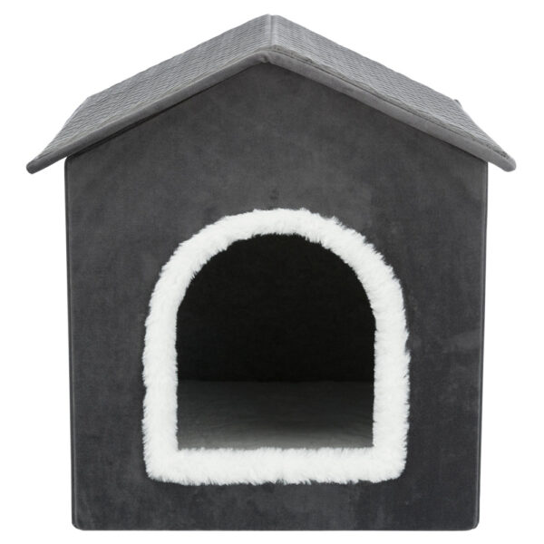 gruta livia wepet cão gato