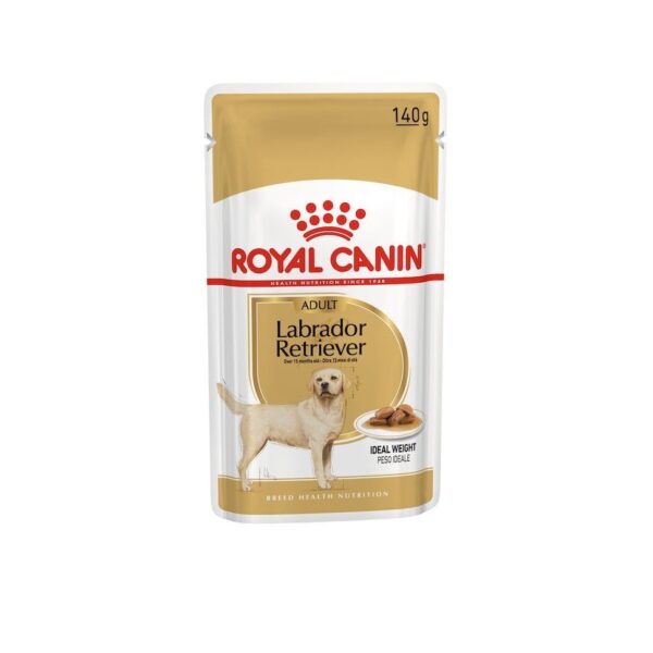 royal canin labrador retriever 85gr wepet humido cão