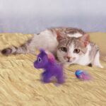 KONG CAT ENCHANTED BUZZY UNICORN WEPET