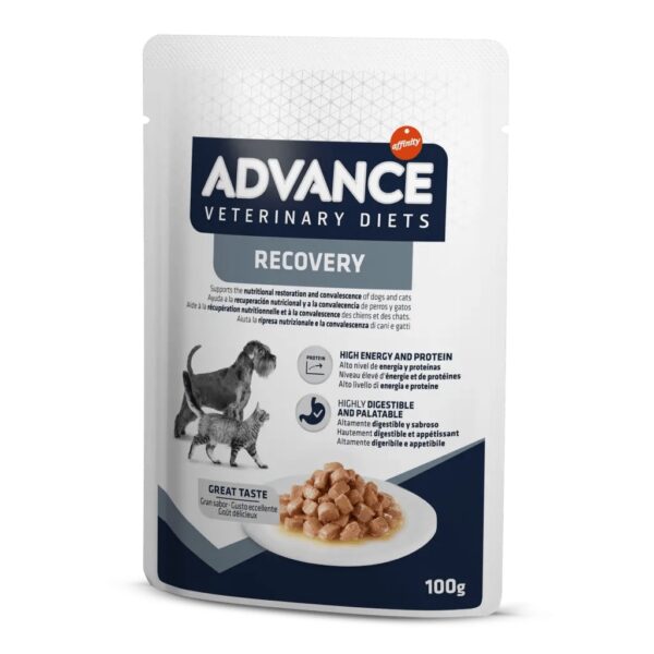 Ração Húmida Advance Vet Diets Dog/cat Recovery 100g wepet