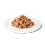 Ração Húmida Advance Vet Diets Dog/cat Recovery 100g wepet