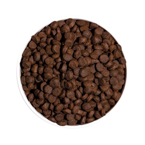 OWNAT CAO GF PRIME MINI LAD AMB WEPET