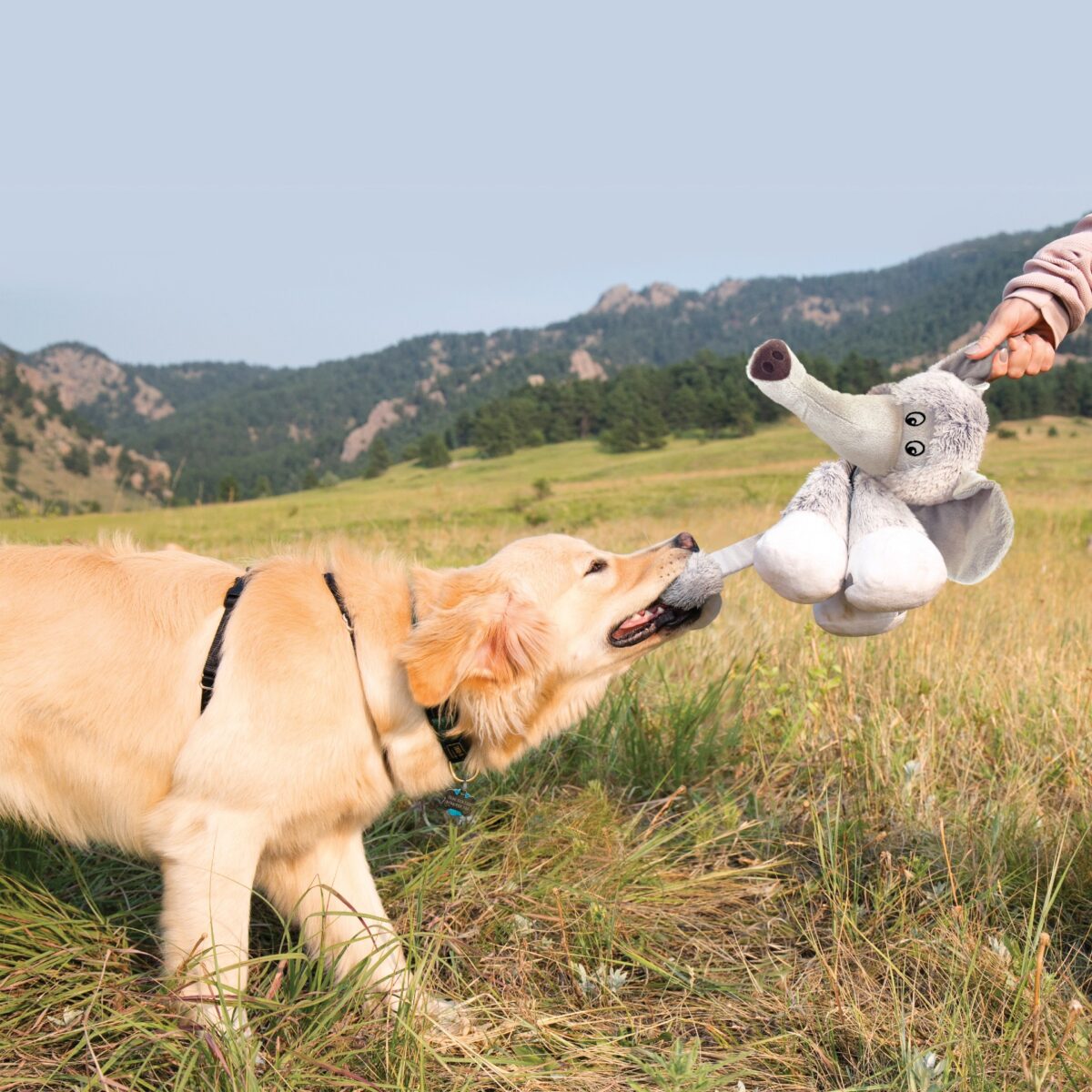 KONG STRETCHEZZ LEGZ BEAR (URSO) LARGE (RSL11E) WEPET BRINQUEDO CÃO