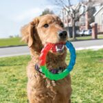 KONG TWISTZ RING LG (PFT11E) WEPET BRINQUEDO CÃO