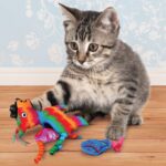 KONG CAT PULL-A-PARTZ PINATA (CPP8E) WEPET BRINQUEDO GATO