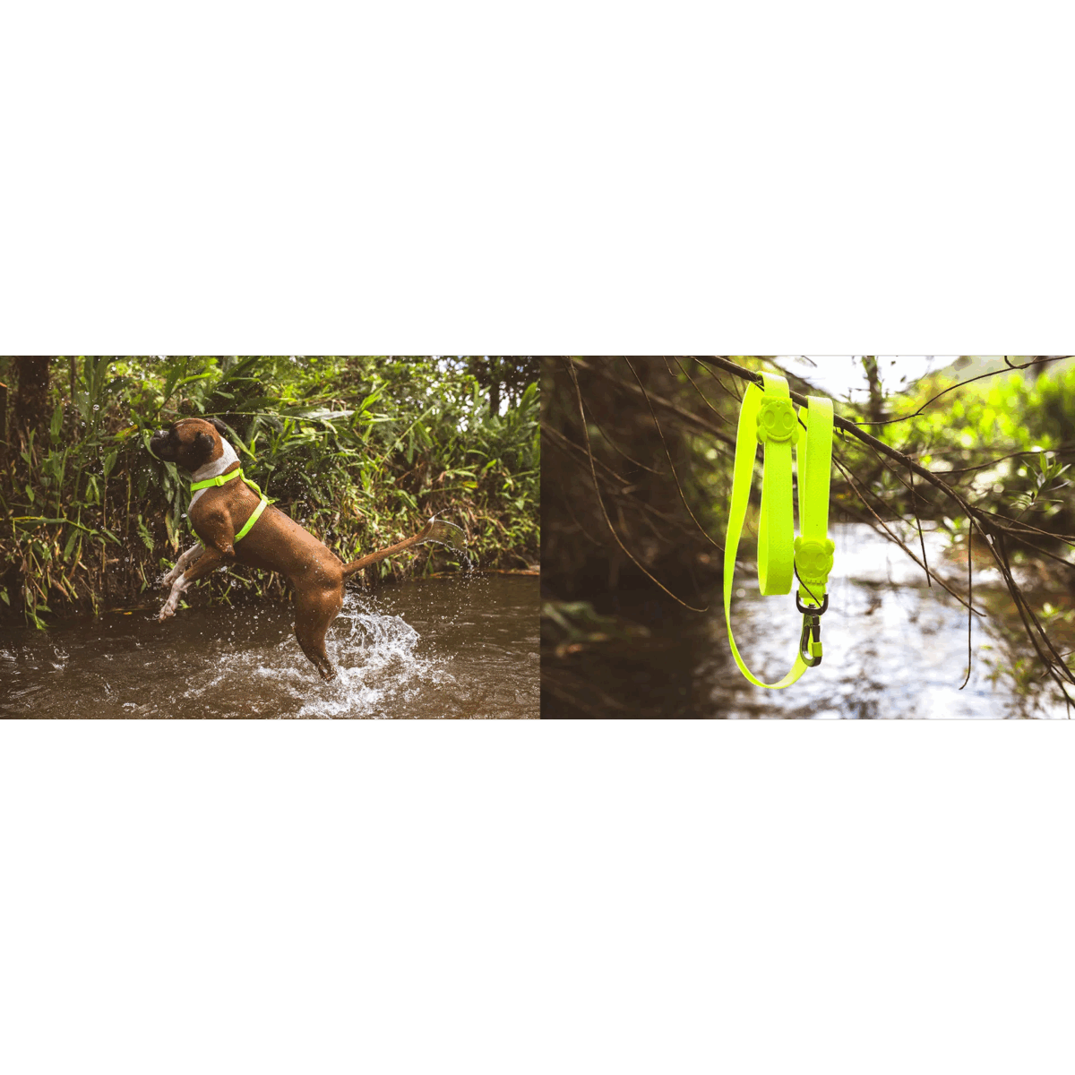 4 ZEE.DOG NEOPRO LIME H-HARNESS WEPET