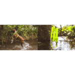 ZEE.DOG NEOPRO LIME H-HARNESS WEPET