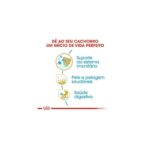 BHN GOLDEN RET JUNIOR 12KG WEPET CÃO