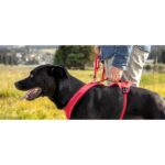 CURLI PEITORAL BELKA COMFORT WEPET
