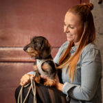PEITORAL CURLI CLASP AIR MESH WEPET CÃO