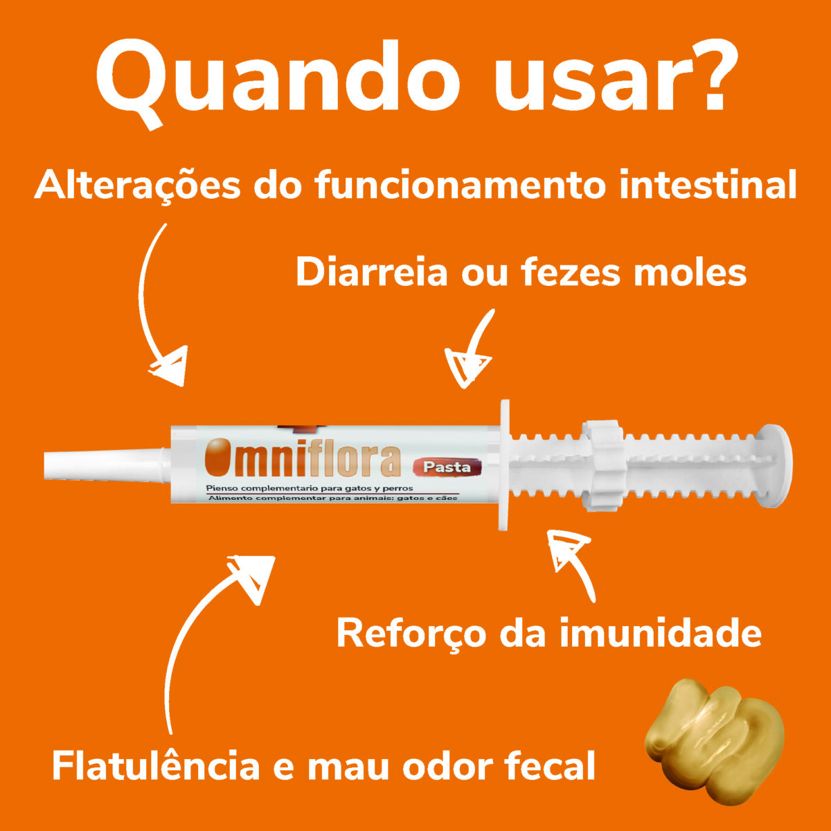 OMNIFLORA PASTA 15ML WEPET